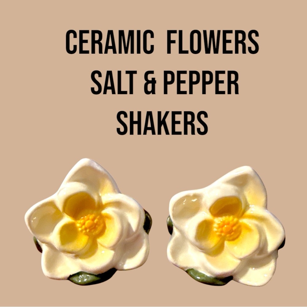 Floral Ceramic Salt & Pepper Shakers nwot